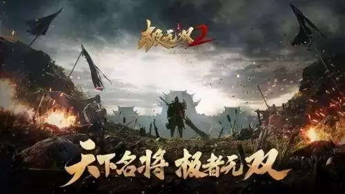 极无双2最强阵容怎么搭配，极无双2