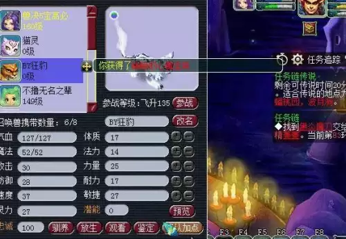 梦幻变身后怎么显示不是怪-梦幻套装效果不显示变身造型