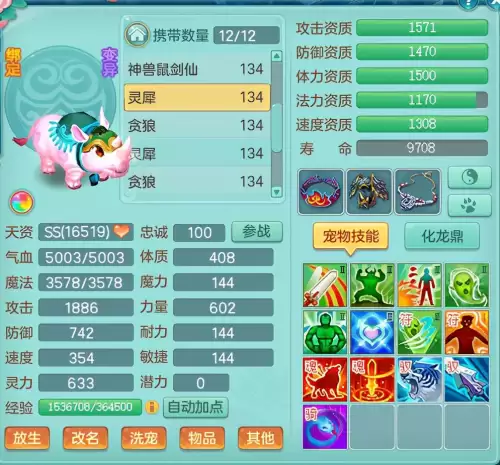 神武门派怎么选宠物-神武4手游各阶段宠物推荐