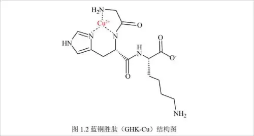 诗蓝换肤盒子会封吗-护肤品包装盒里居然没有说明书