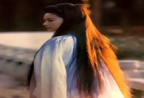 贾静雯天龙八部阵容搭配，贾静雯演的李秋水天龙八部