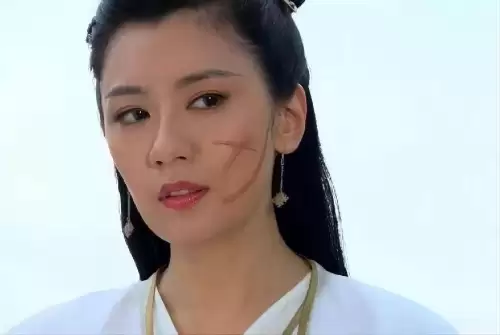 贾静雯天龙八部阵容搭配，贾静雯演的李秋水天龙八部