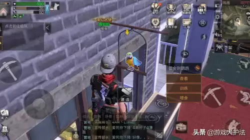 明日之后怎么修改主庄园-明日之后合并庄园条件