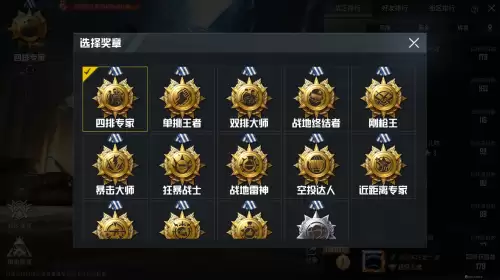 和平精英怎么看国服最强-和平精英如何查看排行榜
