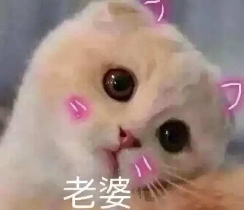 剑灵哪个人-剑灵是怎么形成的