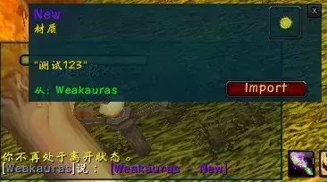 wowwa怎么导出-wow怀旧魔兽大脚的wa