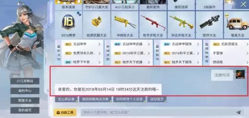 吃鸡账号在哪里看-吃鸡历史id查询