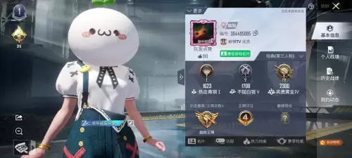 吃鸡账号在哪里看-吃鸡历史id查询