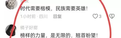 盛世荣耀是什么意思-盛世荣耀