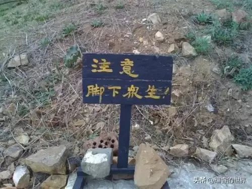 大悲寺妙祥法师为什么被驱离-海城大悲寺住持妙祥法师
