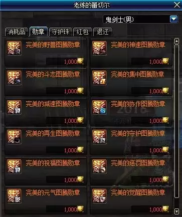 dnf炽天使勋章选什么-dnf各职业白金徽章选择