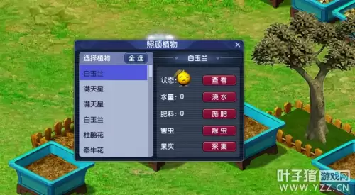 梦幻手游种树和种花可以得到什么-梦幻西游种树苗的正确方法