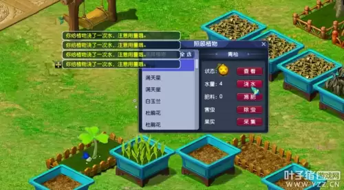 梦幻手游种树和种花可以得到什么-梦幻西游种树苗的正确方法