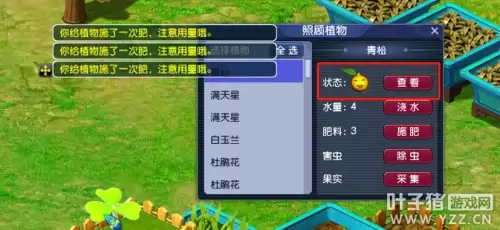 梦幻手游种树和种花可以得到什么-梦幻西游种树苗的正确方法