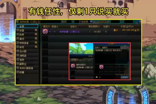 dnf冰息蓝龙可以封印吗-dnf蓝龙宠物