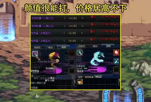 dnf冰息蓝龙可以封印吗-dnf蓝龙宠物