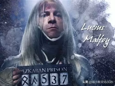 卢修斯马尔福好的吗-马尔福卢修斯