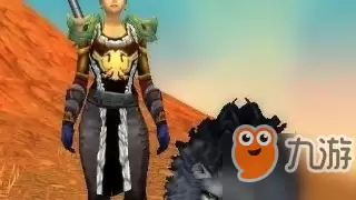 魔兽世界怀旧服猎人带什么宝宝下副本-魔兽世界怀旧服猎人练级带什么宝宝