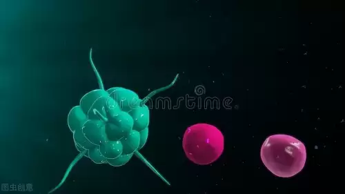 防御素主要存在于什么细胞-防御素的作用