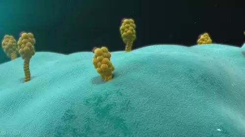 防御素主要存在于什么细胞-防御素的作用