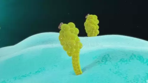 防御素主要存在于什么细胞-防御素的作用
