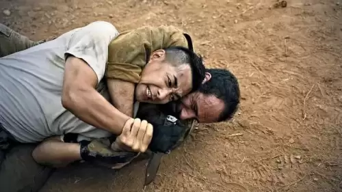 洛奇3在哪里可以看-洛奇6女主怎么不演了