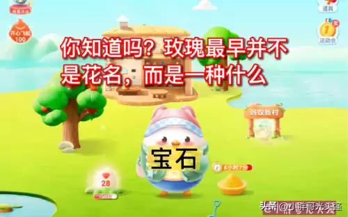玫瑰最早不是花名而是什么-玫瑰最早起源于哪个国家