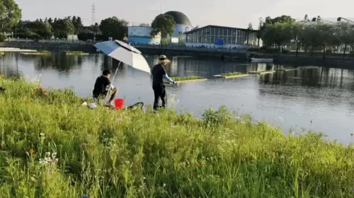 摩尔庄园兔子在哪养-摩尔庄园灵兽捕捉技巧