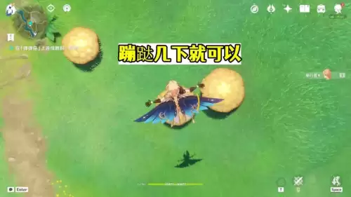 原神怎么做委托-原神每日委托的8个步骤