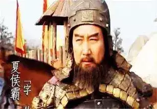 三国的后裔哪些组合最强-三国名将录最强组合