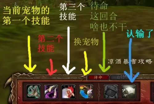 wow如何看宠物技能-魔兽世界宠物怎么升级
