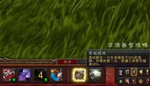 wow如何看宠物技能-魔兽世界宠物怎么升级
