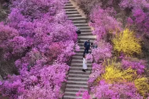 青岛旅游攻略必去景点冬天有哪些