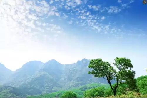 青岛旅游攻略必去景点冬天有哪些