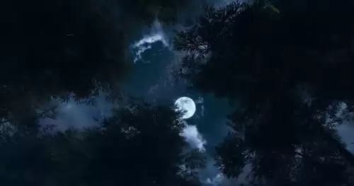 天刀手游极光天气怎么完成-天刀手游流星雨天气在哪里