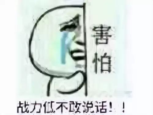 仙境传说单机版安卓