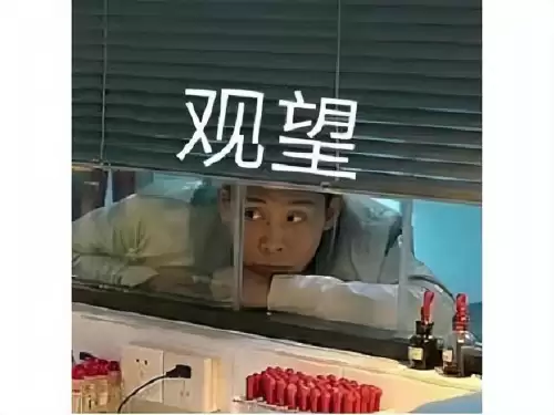 仙境传说单机版安卓