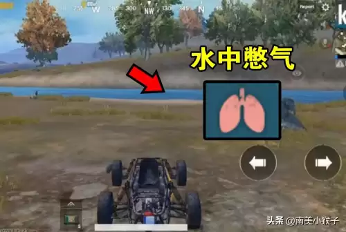 绝地求生屏息怎么看肺部-自我检测肺部3个方法
