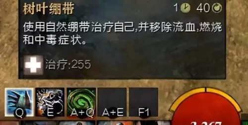 激战2死灵是什么职业-刺客的技能加点