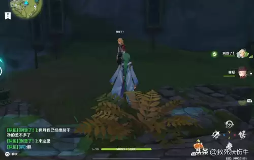 原神不能多人游戏的任务有哪些-原神在别人的世界可以做任务吗