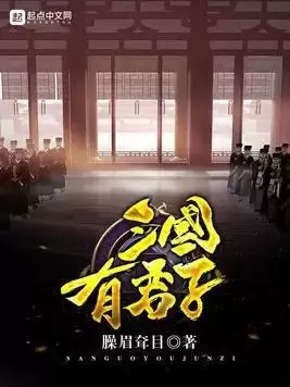 小说三国之天下霸业-三国演义小说
