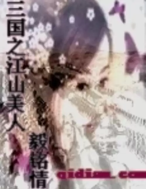 小说三国之天下霸业-三国演义小说