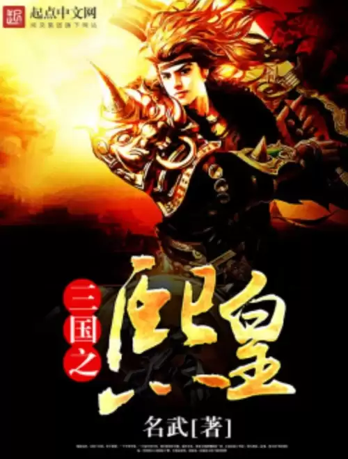 小说三国之天下霸业-三国演义小说