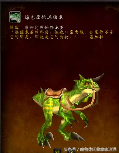 魔兽世界金莲教声望能换什么-潘达利亚四声望坐骑