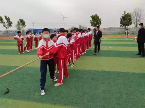 问道楼观观后感500字-我的家乡观后感