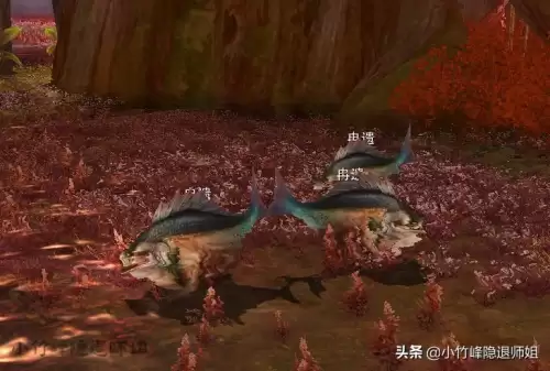 诛仙3挂机还能赚钱吗-诛仙刷积分的是怎么赚钱的