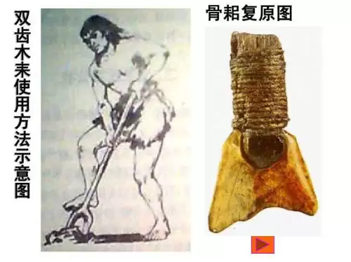 新石器时代与旧石器时代的区别-新石器时代和旧石器时代的区别图表