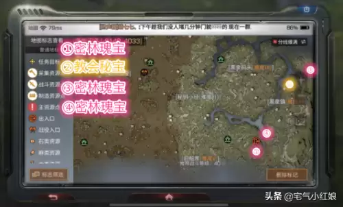 明日之后如何将武器护甲变为珍惜-明日之后目前最好的护甲