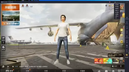 和平精英人物模糊怎么设置-和平精英画面设置看人
