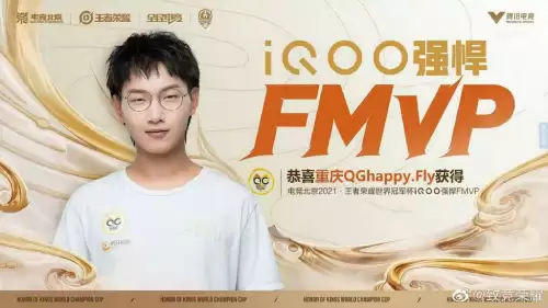 狼队电子竞技俱乐部在哪里-KPL重庆狼队主场地址